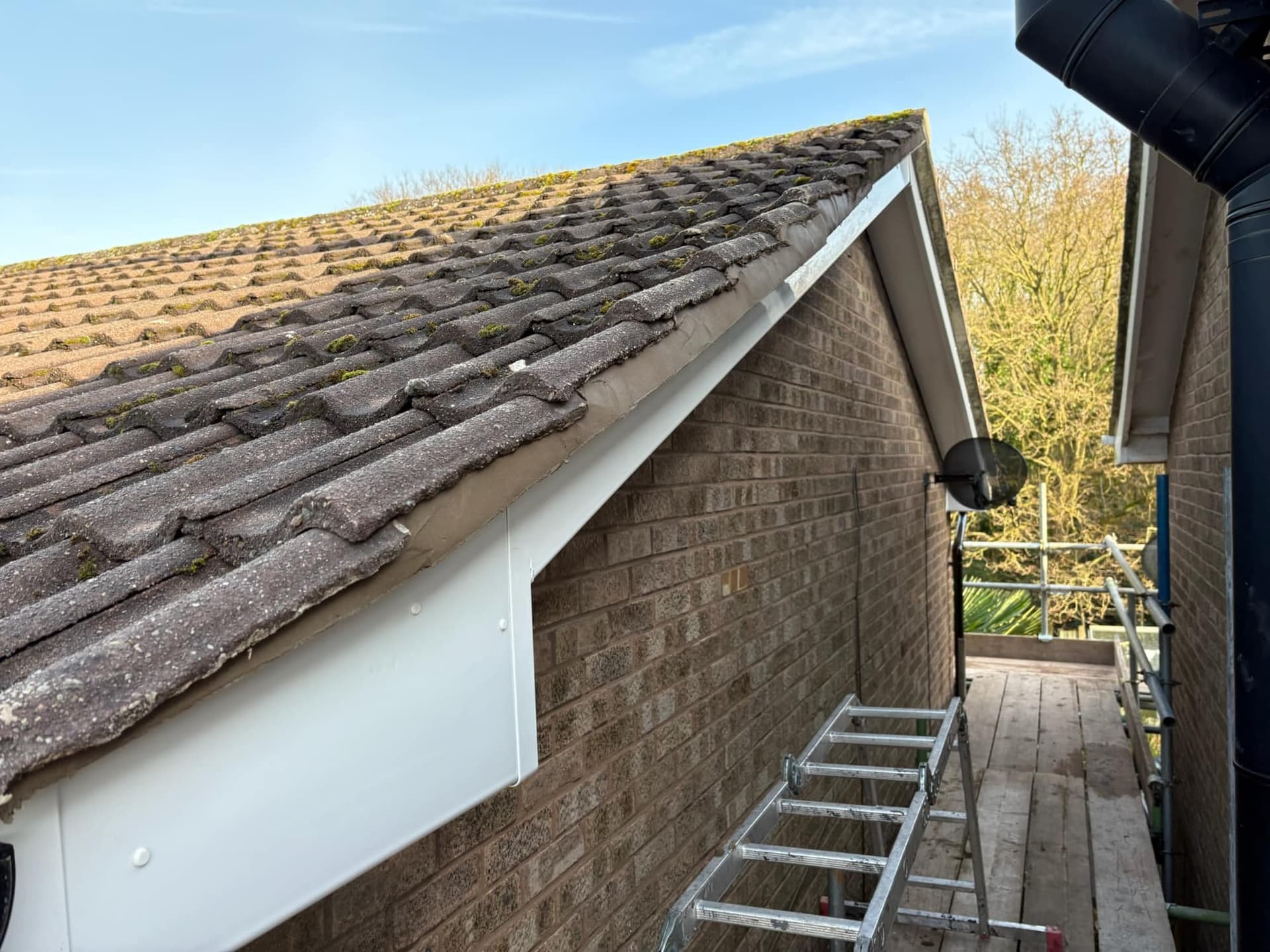Moss build-up on a tiled roof